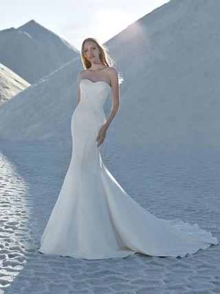 Atelier Pronovias Astral